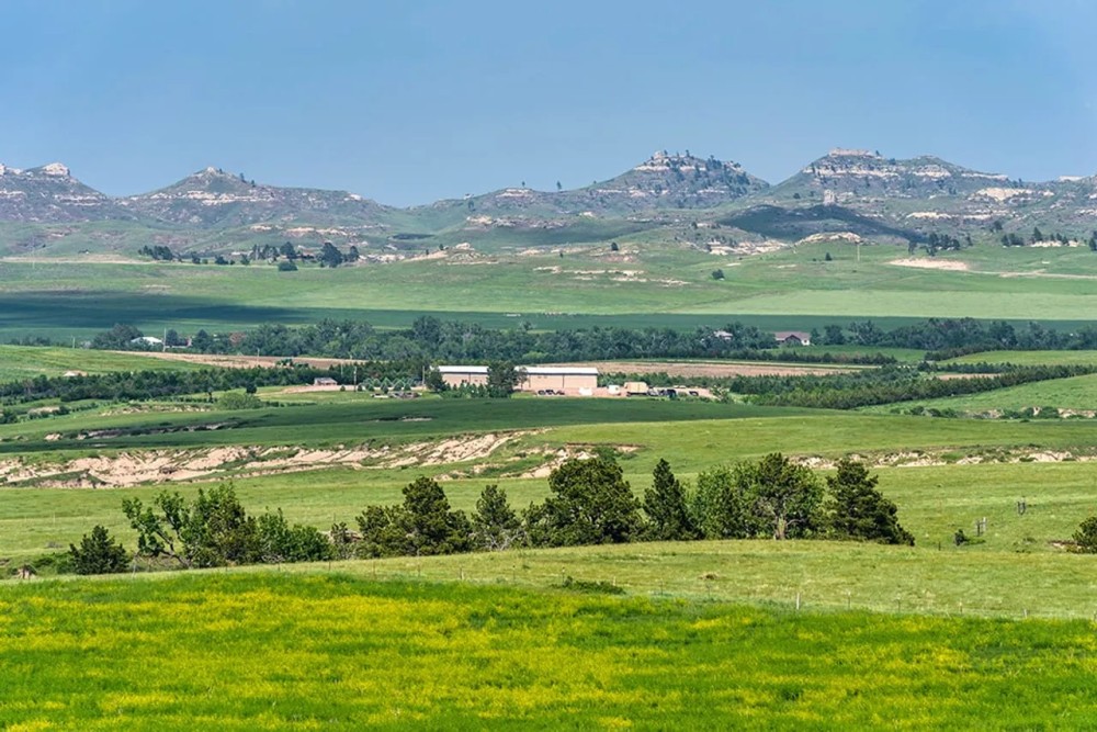 The JM Ranch featured image