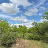 New Listing 79 - Acres Callahan County images 4
