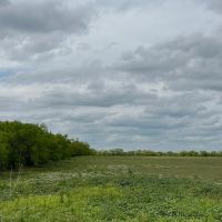 New Listing 79 - Acres Callahan County images 5