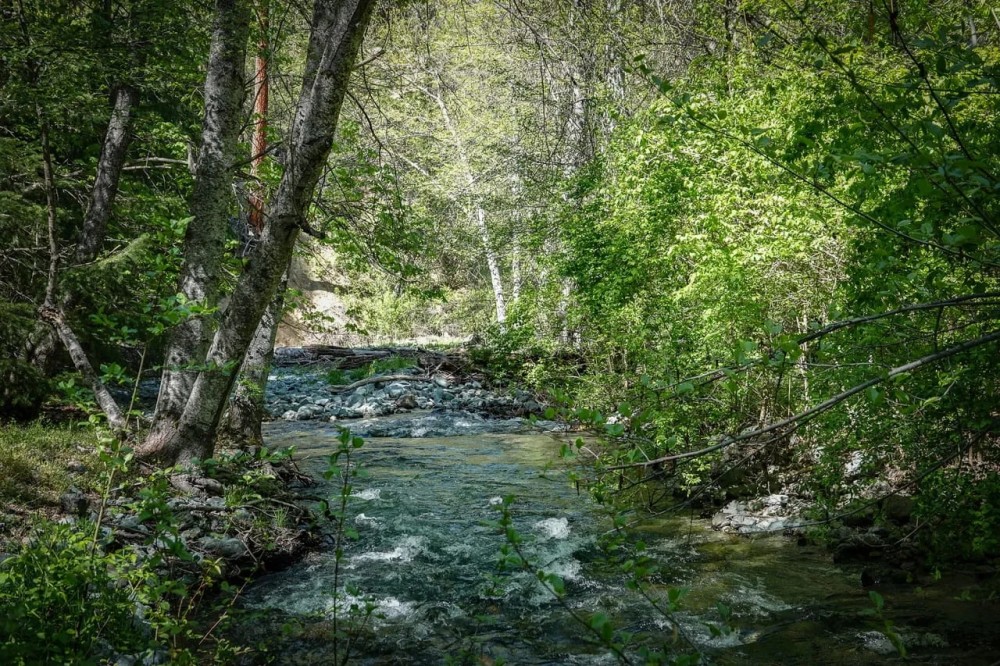 Patterson Creek Getaway featured image
