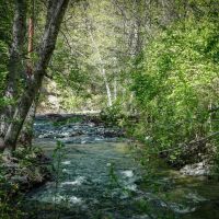 Patterson Creek Getaway