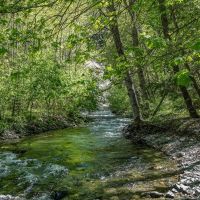 Patterson Creek Getaway images 2