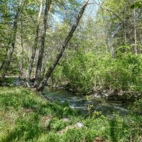 Patterson Creek Getaway images 3