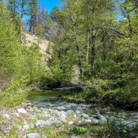 Patterson Creek Getaway images 5