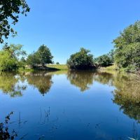 Harwood 85 images 1