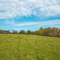 Sparks Spring Ranch images 3