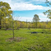 Sparks Spring Ranch images 5