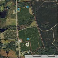 Beards Creek Church Rd images 5