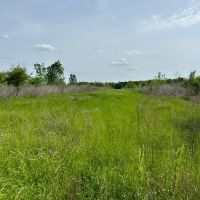 LA - Richland 155 Acres - images 2