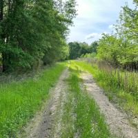 LA - Richland 155 Acres - images 5