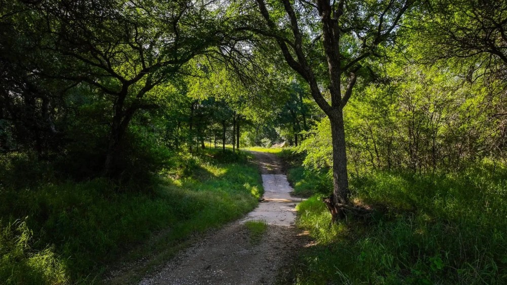 RS 55230 - 206 ac Cement Mountain Rd Bryson TX featured image