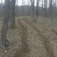 10,326 acres WMA Rapidan - Turkey hunting in Madison, VA