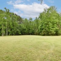 3.90 acres of Hunting and Timberland For Sale in Newport News VA images 3