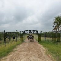 New Property
