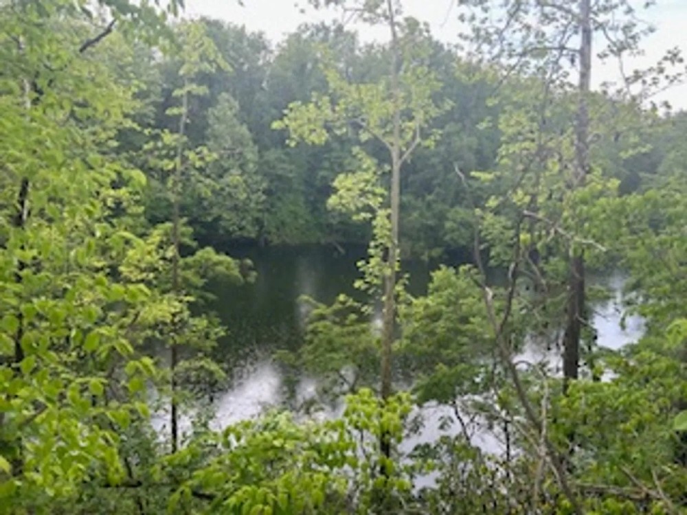 Land For Sale in Clay County IN 66 Acres - featured image