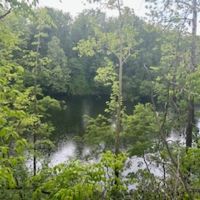 Land For Sale in Clay County IN 66 Acres -