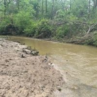 Land For Sale in Clay County IN 66 Acres - images 3