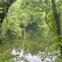 Land For Sale in Clay County IN 66 Acres - images 4