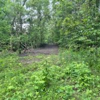 Land For Sale in Clay County IN 66 Acres - images 5