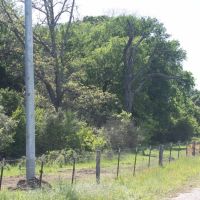 Tract 6 Hunt Lane in Flatonia