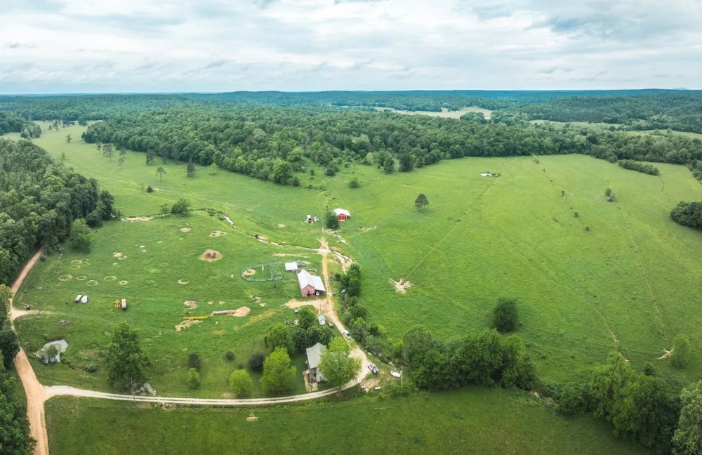 Wayne County 394 Cattle Ranch featured image