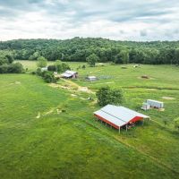 Wayne County 394 Cattle Ranch images 3