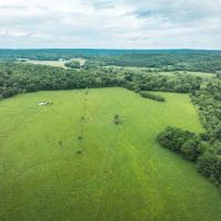 Wayne County 394 Cattle Ranch images 5