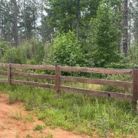 42 Acres Hunting Timberland for Sale Amite County MS images 3