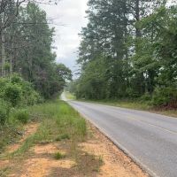 42 Acres Hunting Timberland for Sale Amite County MS images 5