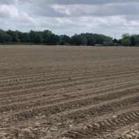 LA - Franklin 67 acres - images 2