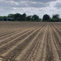 LA - Franklin 67 acres - images 3