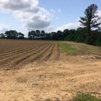 LA - Franklin 67 acres - images 5
