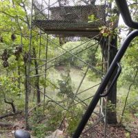 Excellent Deer Lease near Oilton…45 minutes from Tulsa