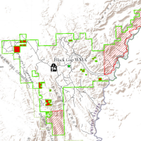 103,000 acres huge public land at Black Gap - Mule Deer hunting - Brewster, TX images 2
