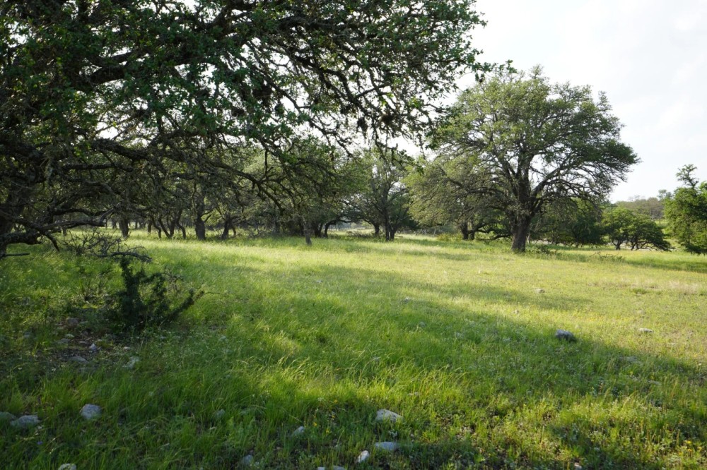 Kensing Road Ranch featured image