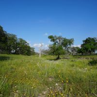 Kensing Road Ranch images 2