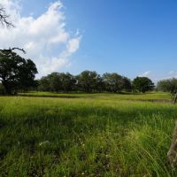 Kensing Road Ranch images 4