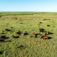 Rockin 7 Ranch images 3