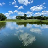 154 Acre Sunset Texas Ranch For Sale images 2