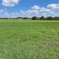 154 Acre Sunset Texas Ranch For Sale images 4