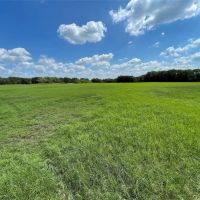 154 Acre Sunset Texas Ranch For Sale images 5