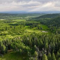Ace High Ranch images 2