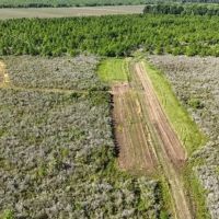 Turnkey Duck and Deer Hunting Property in Concordia Parish images 3