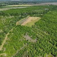 Turnkey Duck and Deer Hunting Property in Concordia Parish images 4