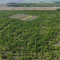 Turnkey Duck and Deer Hunting Property in Concordia Parish images 5