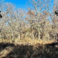 3 - Ac TBD Hwy 206 images 2