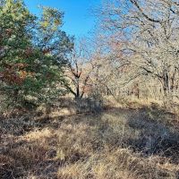 3 - Ac TBD Hwy 206 images 3