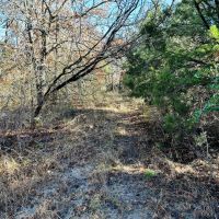 3 - Ac TBD Hwy 206 images 4