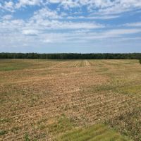 LA - Caldwell 22 acres - images 5