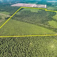 640 Acres FM 1008 images 2